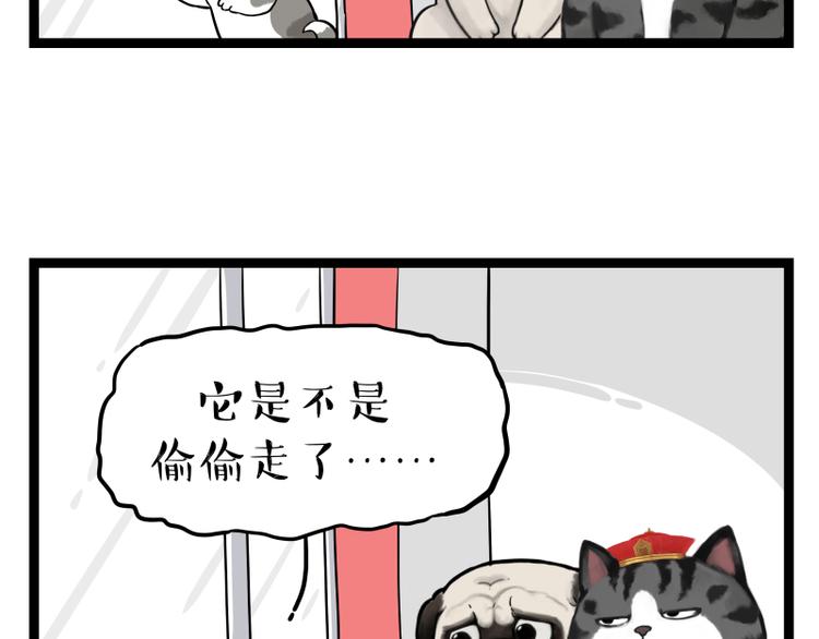 第267话 不让你流浪57