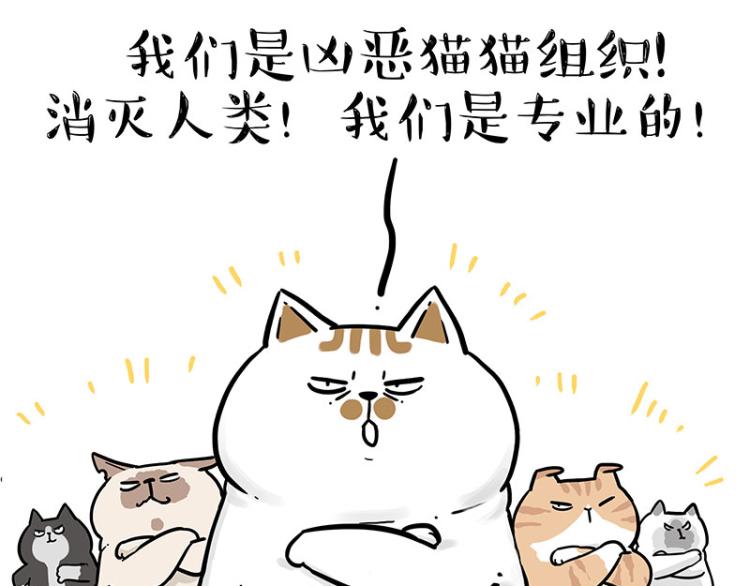 第290话 凶恶猫猫组织23