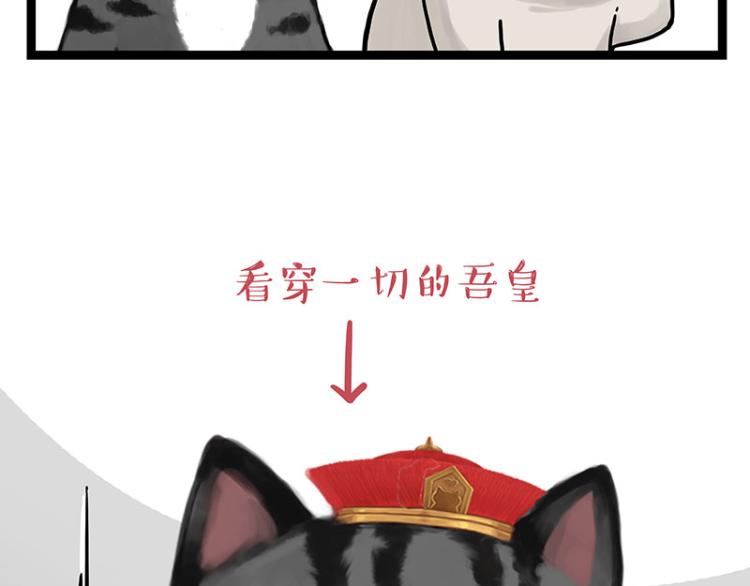 第288话 冒牌货，拿来吧你！20