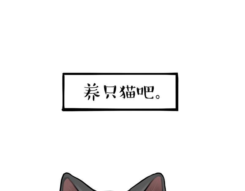 第349话 养只猫吧25