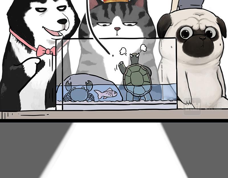 第298话 龟与狗与世界5