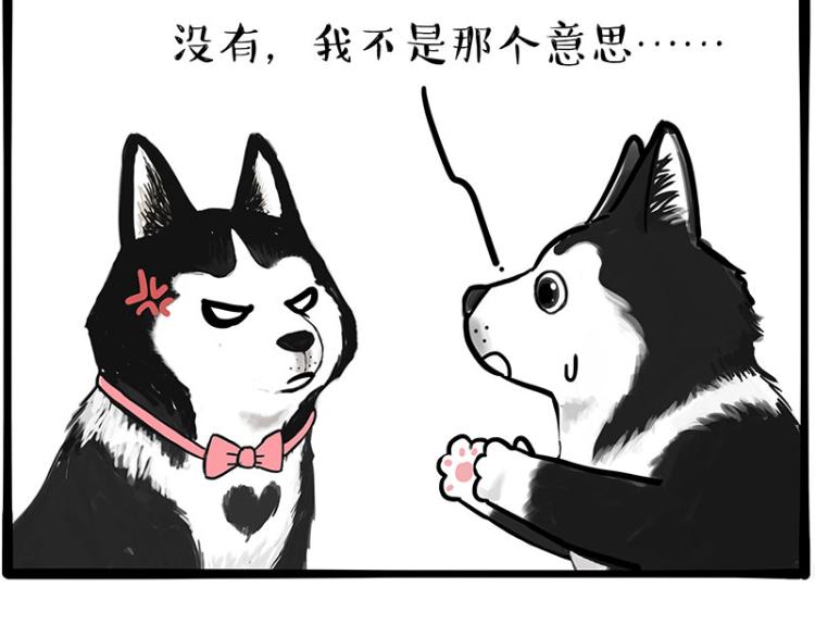 第289话 吹牛狗真牛6