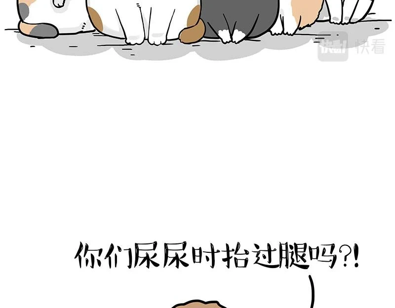 第365话 “神犬”巴扎黑52