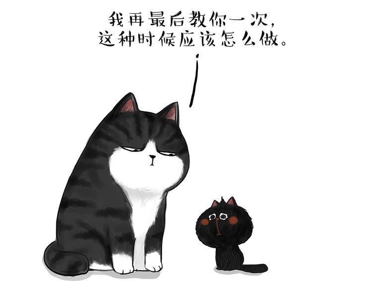 第49话 只见新人笑未闻旧人哭12