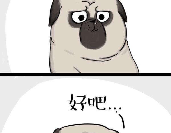 第32话 七夕你为什么还单身？23