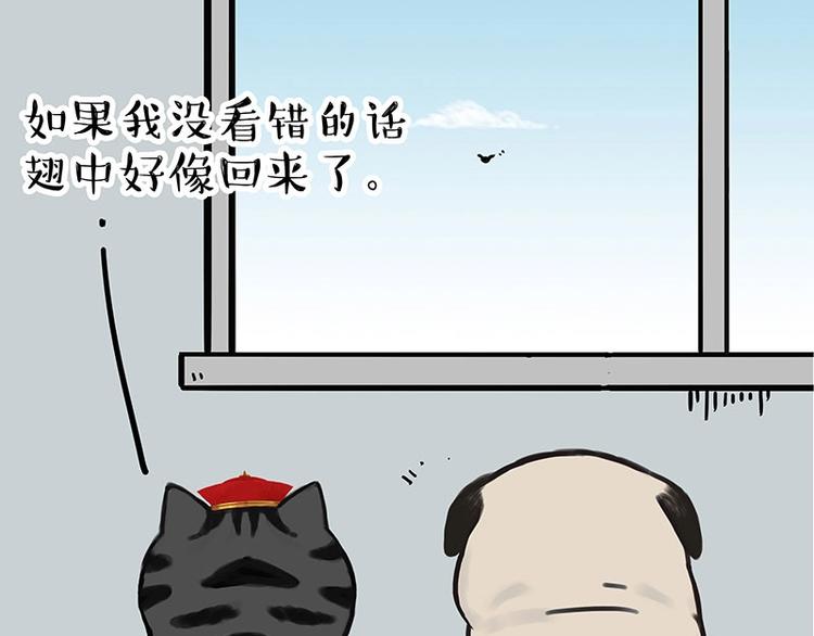 第168话 翅中历险记49