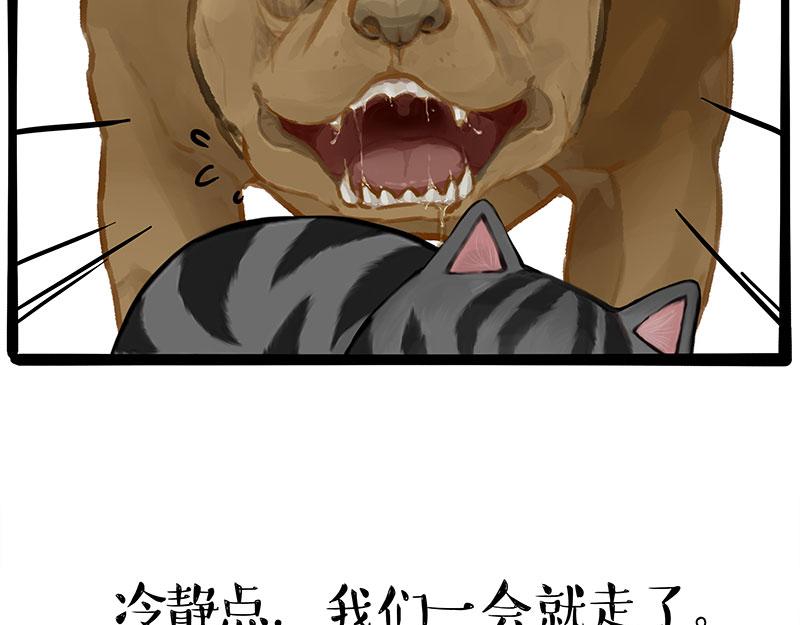 第370话 你就宠它吧23
