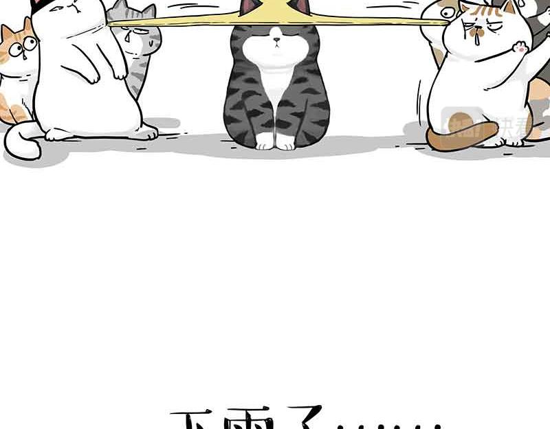 第359话 猫洛芬8