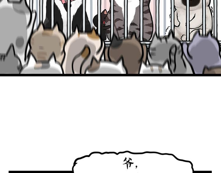 第284话 美喵竟是我自己54