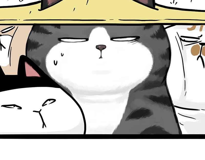 第359话 猫洛芬13