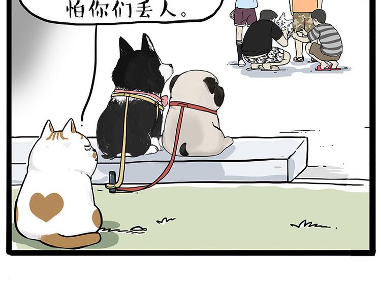 第223话 狗知识增加了11