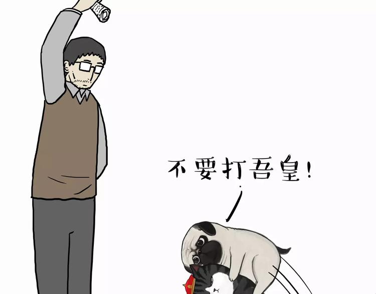 第103话 一家人17