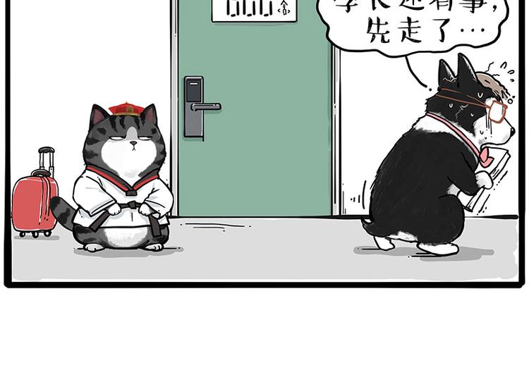 第231话 防骗指南26