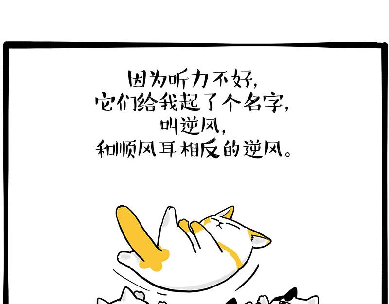 第332话 逆风翻盘49