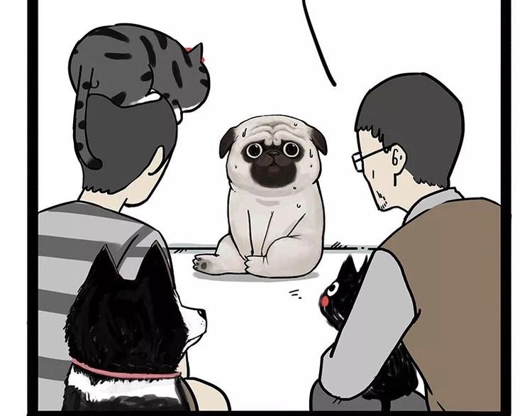 第169话 巴扎黑中毒了？！18