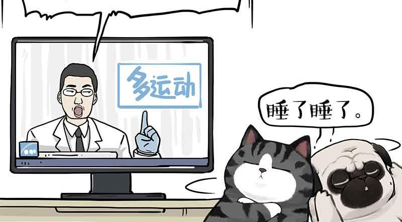 第359话 猫洛芬3