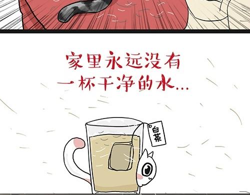 第27话 巴扎黑是宇宙来的王子9