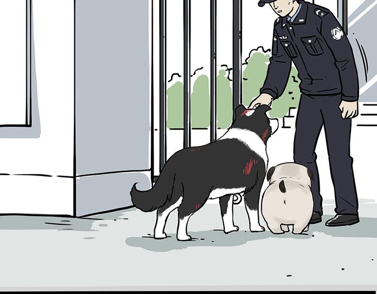 第207话 巴扎黑丢了？！63