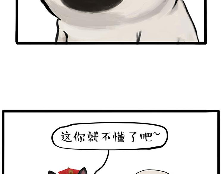 第233话 你太飘了11