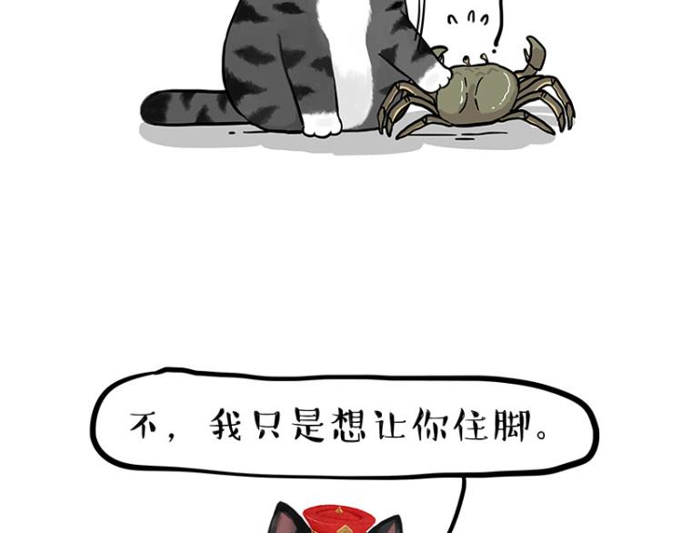 第286话 动物世界43