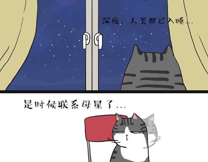 第28话 与喵星失去联系的吾皇5