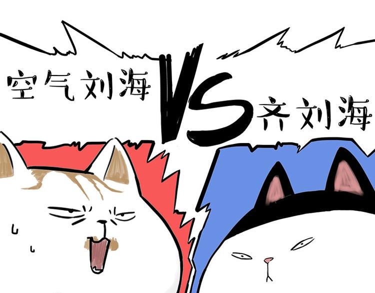 第167话 猫王争霸赛17