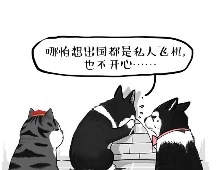 第289话 吹牛狗真牛18