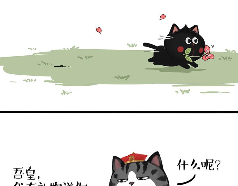 第311话 抓不住！1