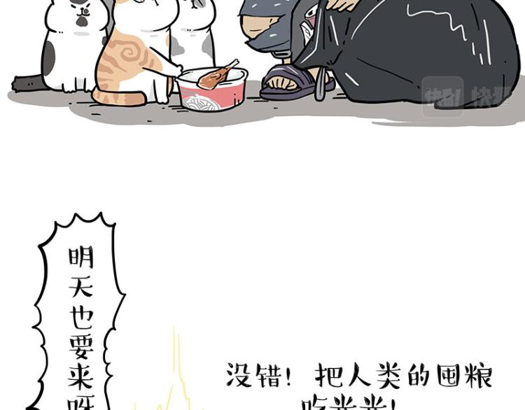 第290话 凶恶猫猫组织33