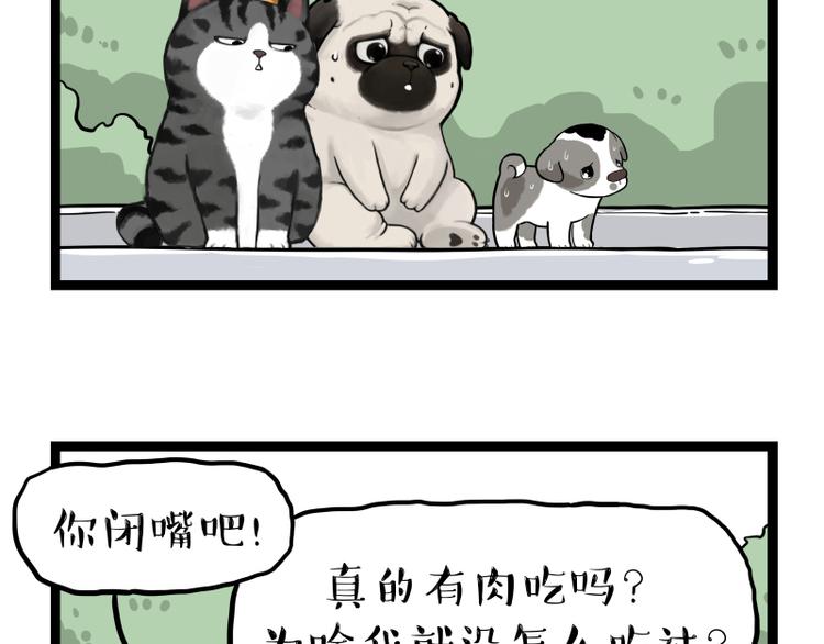 第267话 不让你流浪73
