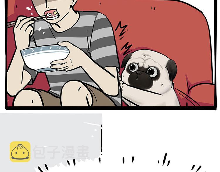 第253话 与狗争饭5