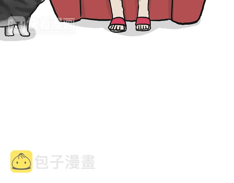 第39话 现在的猫狗戏比人都多11