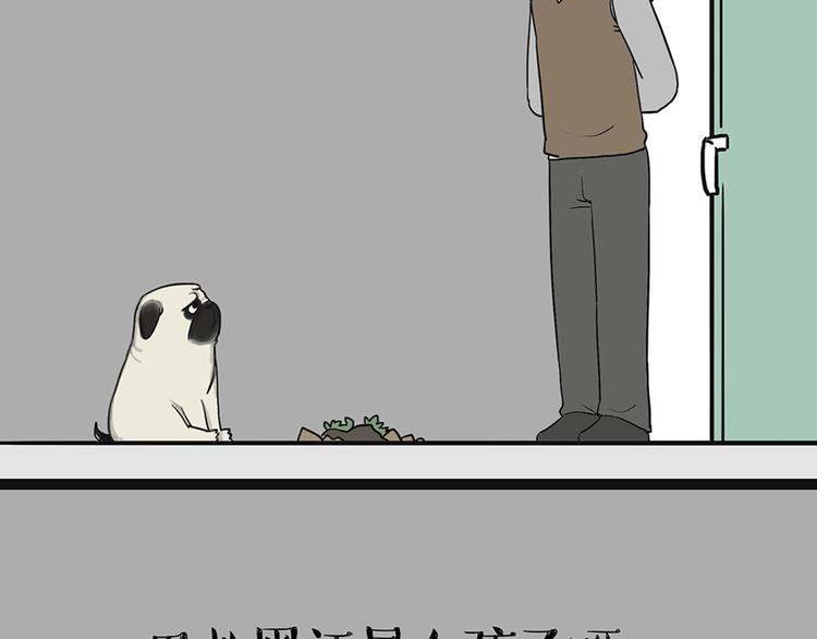 第41话 好气哦，人不如狗24