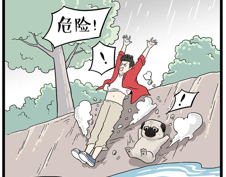 第252话 秃头帅哥65