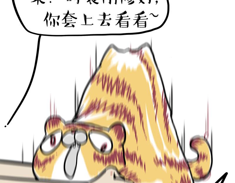 第296话 披着虎皮的猫29