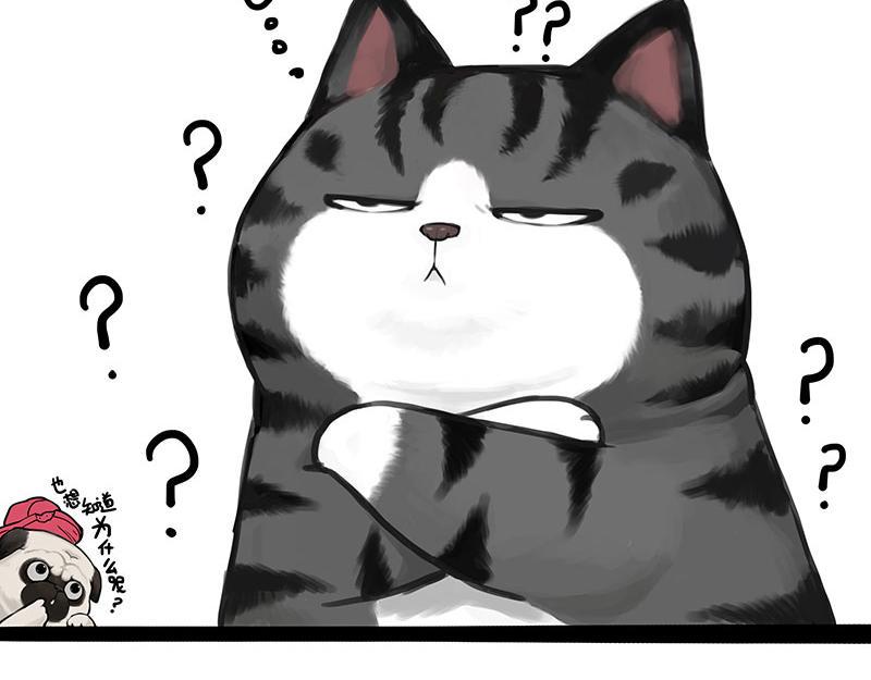 第369话 老天爷的答案15