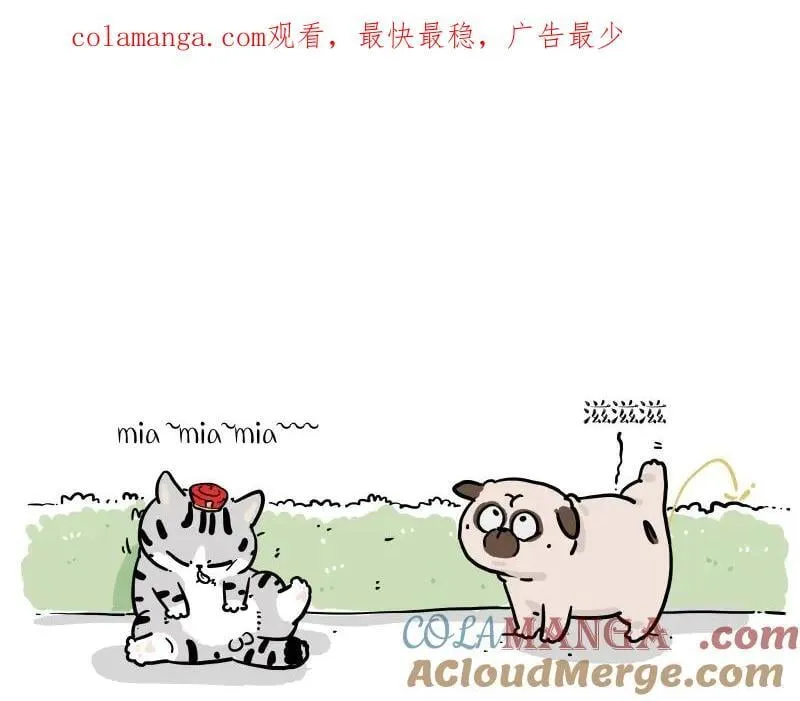 第424话 话痨小猫0