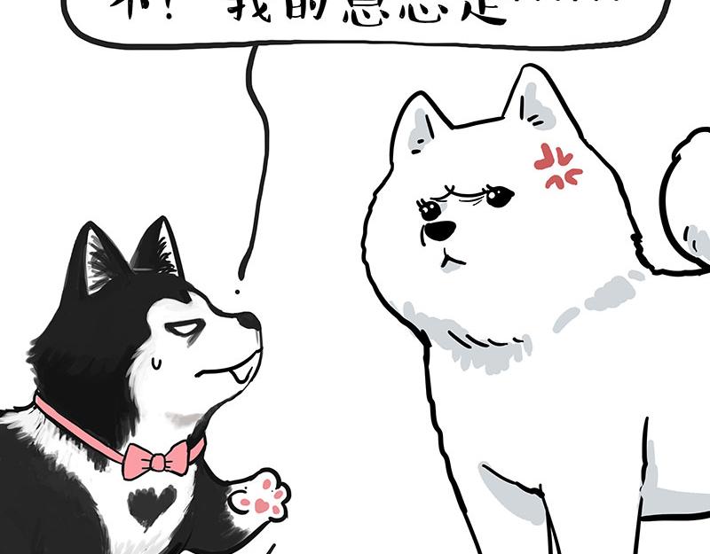 第349话 养只猫吧5