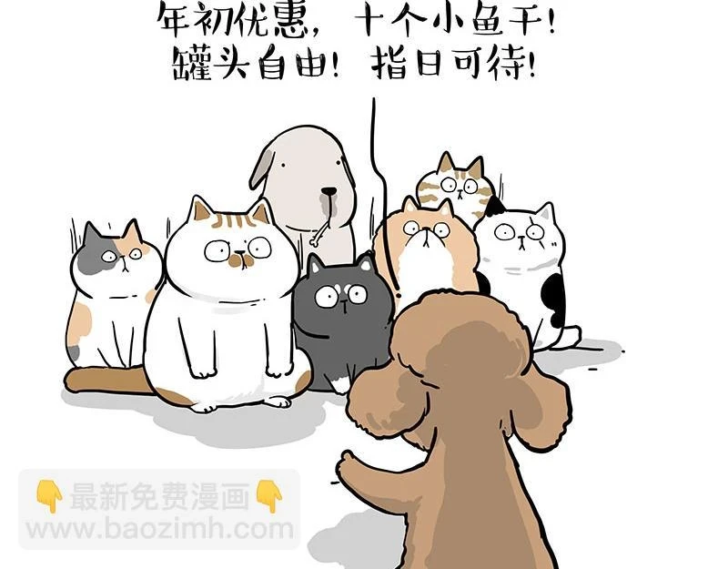 第365话 “神犬”巴扎黑78