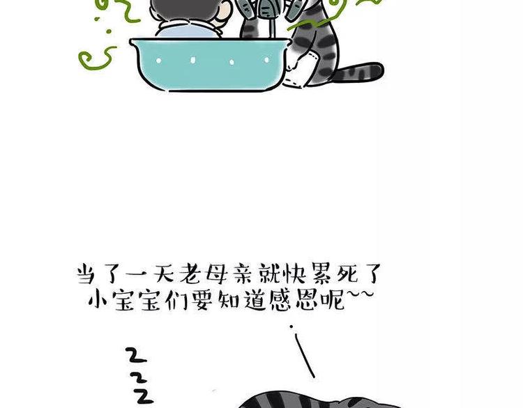 第191话 猫猫无证看孩子？！59