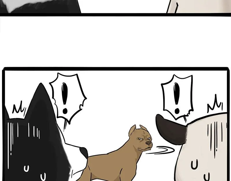 第375话 偶遇恶犬1