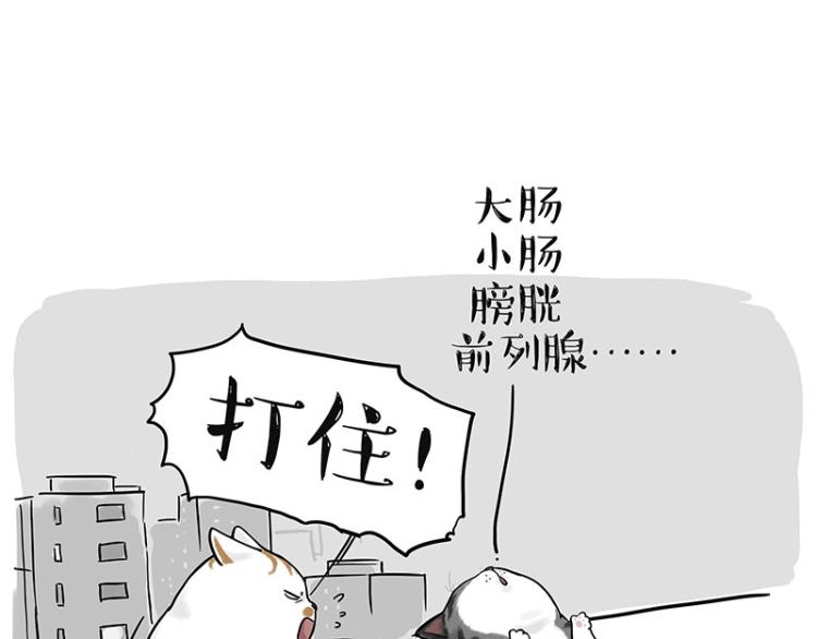 第291话 好兄弟，一辈子83