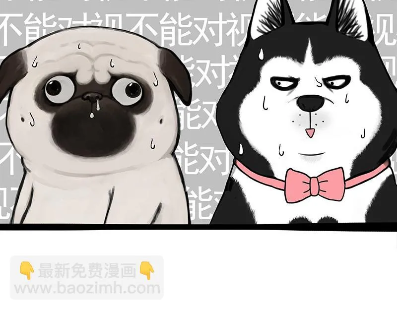第375话 偶遇恶犬3