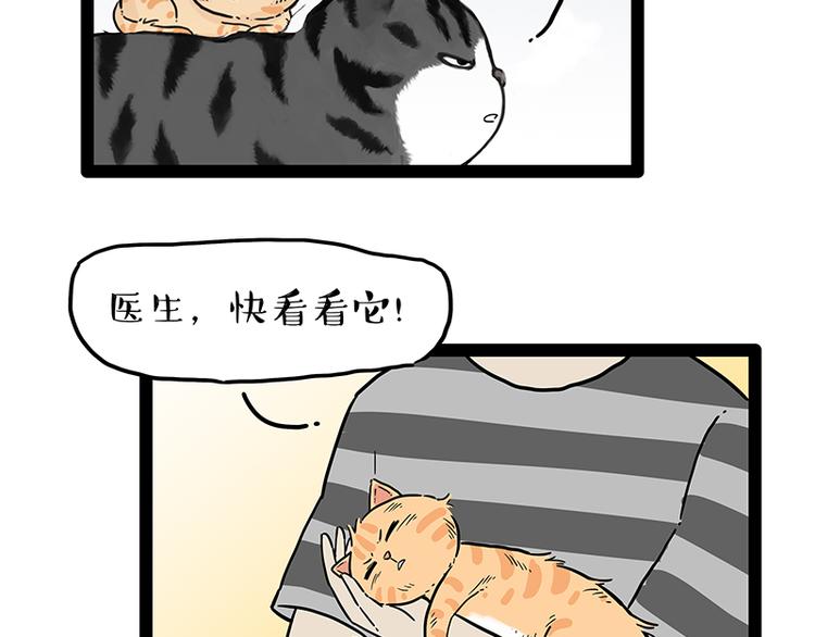 第248话 童话是真的82