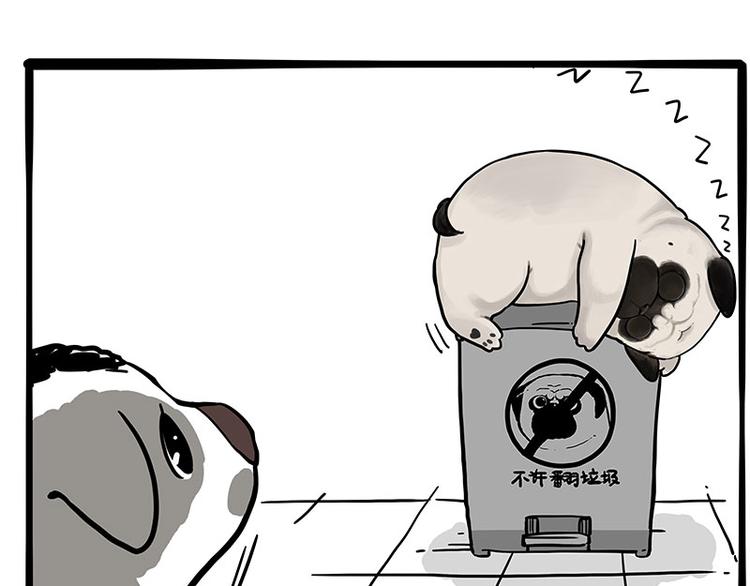 第270话 胖老猫你个大骗子！3
