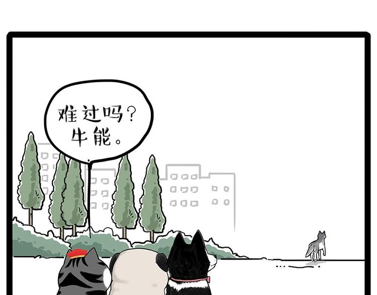第192话 大型爱情翻车现场69
