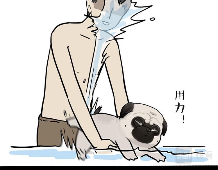 第294话 教狗游泳难度爆棚12
