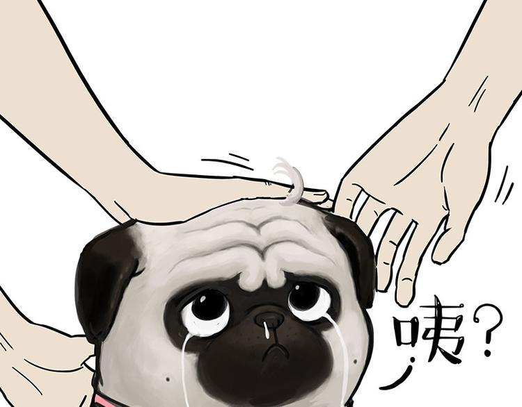 第126话 巴扎黑你什么都不懂24