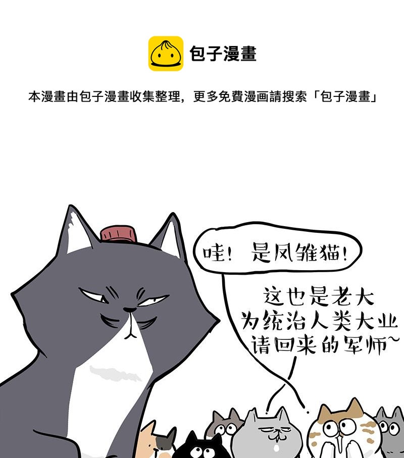 第320话 猫孵鱼16