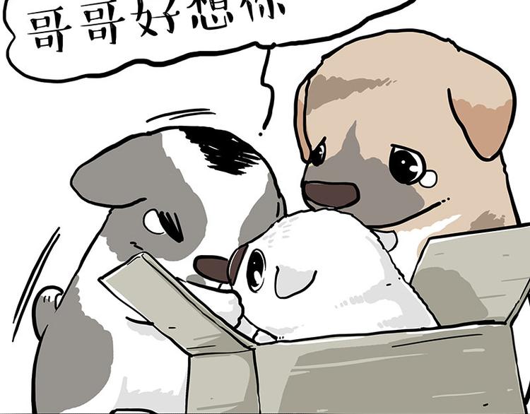 第272话 一定会再见53
